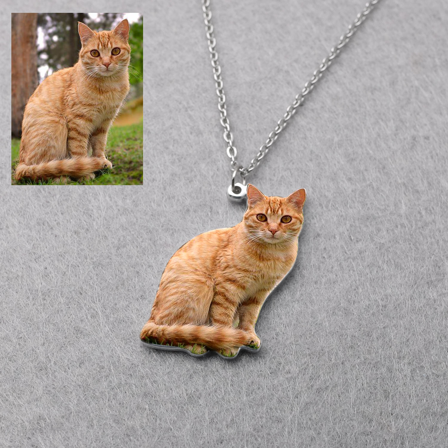 Colar com Foto de Animal de Es - Pet Portrait Custom avaliação e preço
