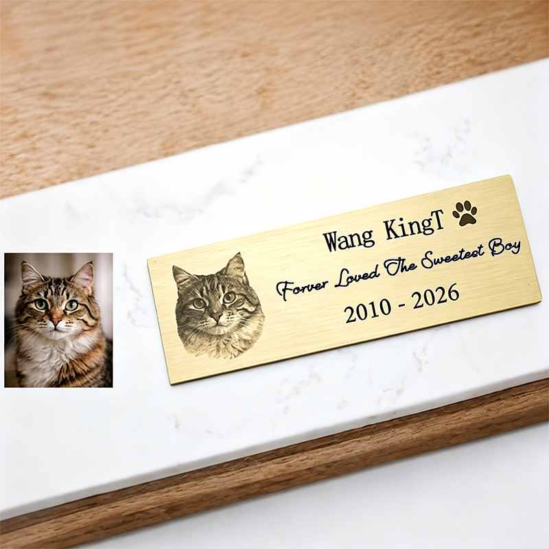 Placa de Aço Inoxidável Person - Pet Portrait Custom avaliação e preço