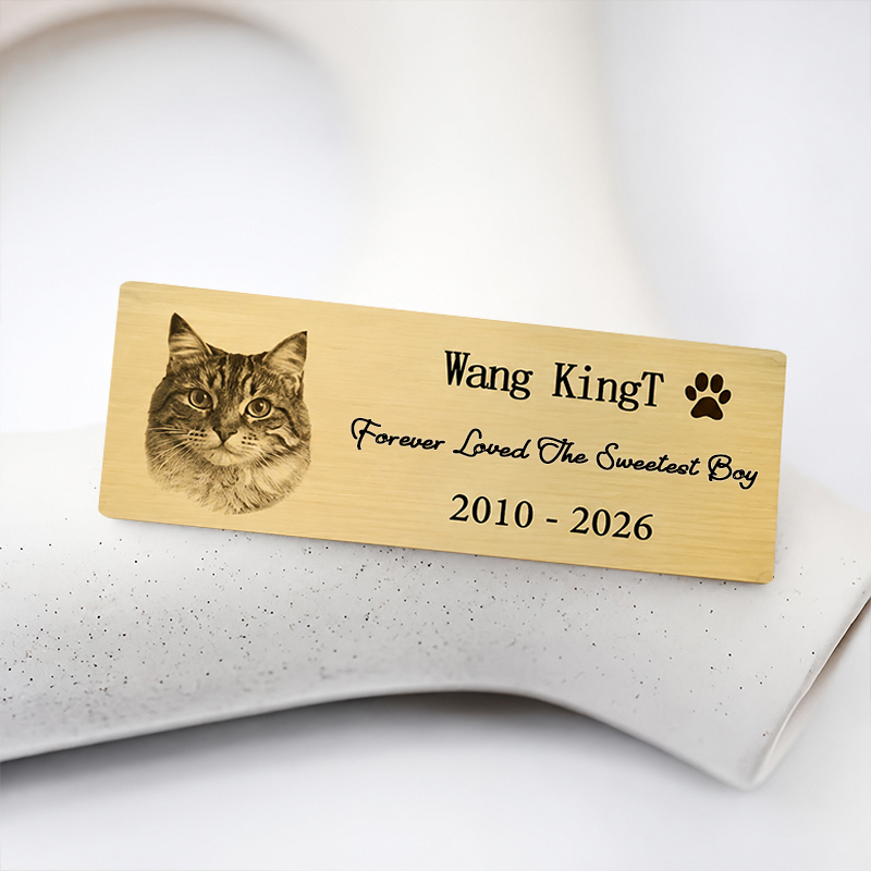Placa de Aço Inoxidável Person - Pet Portrait Custom avaliação e preço